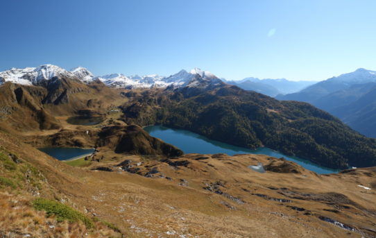 Pizzo Tom (2'361 m) + Camoghè (2'357 m)