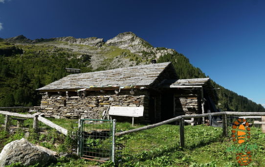 Rifugio Alpe di Giümela (1'810 m) + Passo Bidensc (2'224 m) + Senda del Bò (2'295 m)