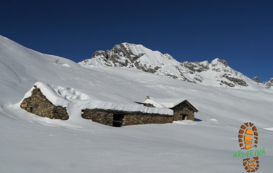 Alp de Carnac (1'950 m)