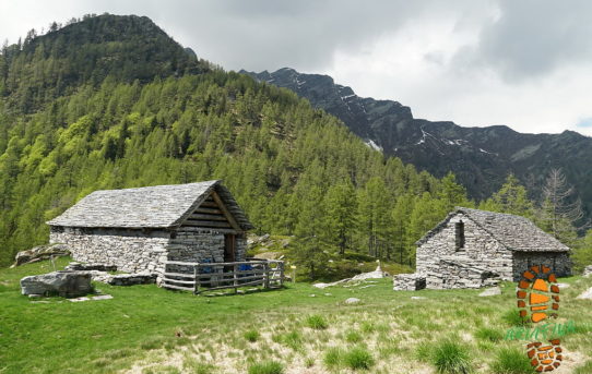 Zucchero (1'648 m) + Alpe di Pii (1'599 m)
