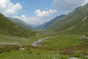 Grialetsch 024