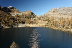 Lago Alzasca 009