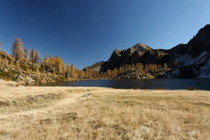 Lago Alzasca 016