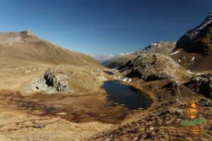 Laghi Viola 017