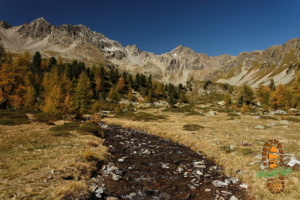 Laghi Viola 018