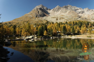 Laghi Viola 019