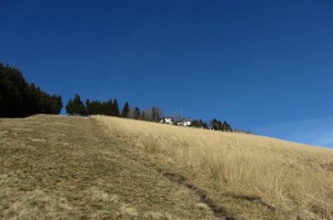 Palanzone 016