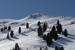 Buffalora 016