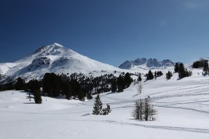 Buffalora 018