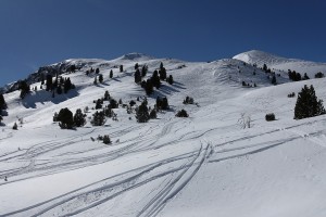 Buffalora 019