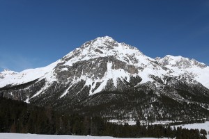 Buffalora 020
