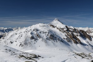 Predelp 016