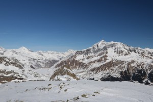 Predelp 017