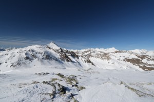 Predelp 018
