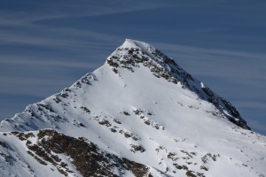 Predelp 020