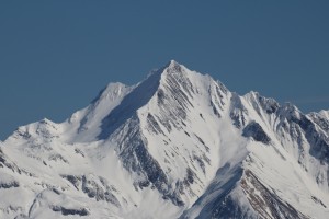 Predelp 021