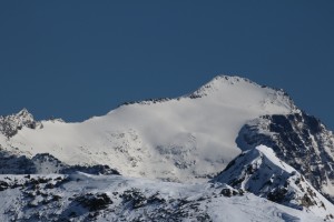 Predelp 022