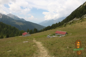 Campel 016