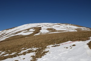 Monte Bar 021