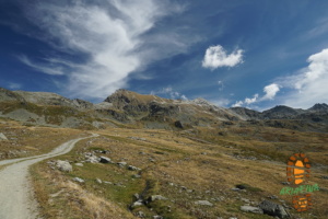 Bella Tola 017