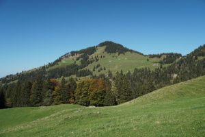 Hoher Kasten 017