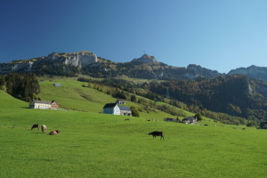 Hoher Kasten 019