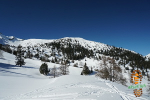 Schoenberg 021