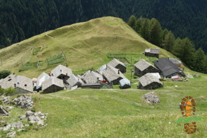 Cima Biasagn 019