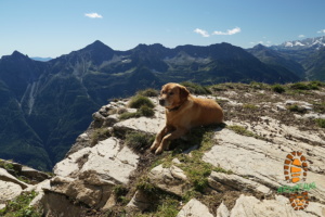 Monte Teggiolo 017