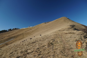 Monte Generoso 017