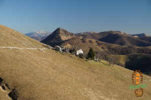 Monte Generoso 021
