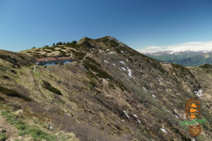 Monte Gambarogno 020