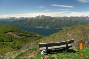 Monte Gambarogno 027