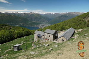 Monte Gambarogno 028