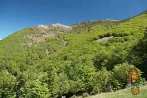 Monte Gambarogno 029
