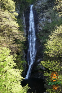 Monte Gambarogno 030