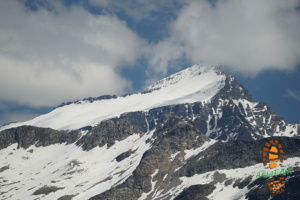 Matro 018