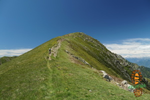 Mottone Tappa 017
