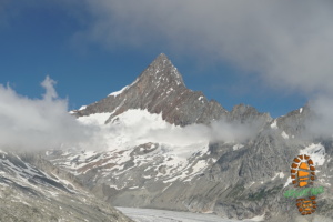 Risihorn 018