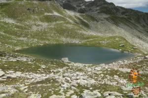 Risihorn 020