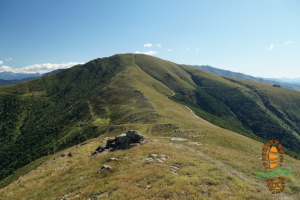 Monte Bar 018