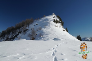 Alp Carnac 018