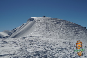 Muttner Horn 018