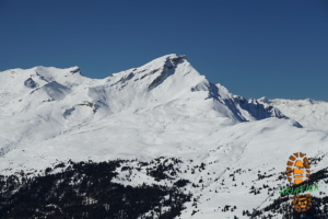 Muttner Horn 019