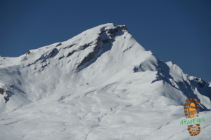Muttner Horn 020