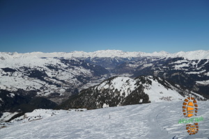 Muttner Horn 021