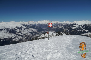 Muttner Horn 023