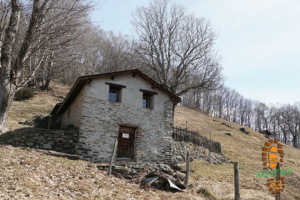 Torre Boggiano 019