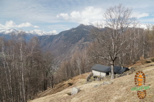 Torre Boggiano 021