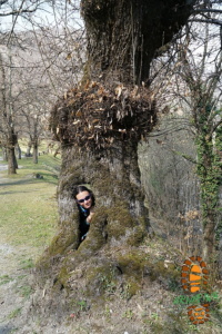 Torre Boggiano 025